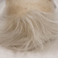 Sterbehilfe: Wann soll das Leben enden?