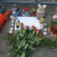 Vor einem Jahr ist es passiert…