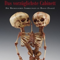 Buchtipp - Rüdiger Schultka: “Das vorzüglichste Cabinett”