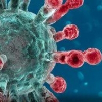 RKI warnt vor Virus-Mutation