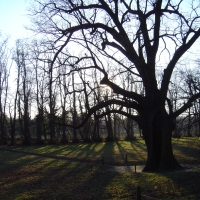 Ruhe im Frühling…