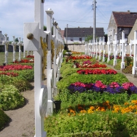 Letzte Ruhe in Gemeinschaft