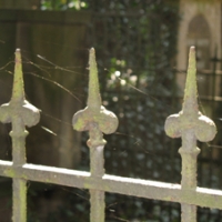 Zarte Sommergespinste…