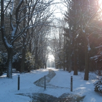 Friedhofs - Winterlandschaft