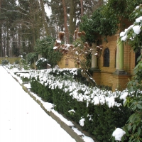 Berlin_Winter_Friedhof