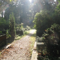 Friedhofswege