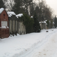 Winter, Winter, Winter…