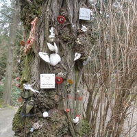Der Trauerbaum
