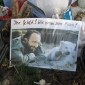 Tierliebe post mortem: Trauer um Knut