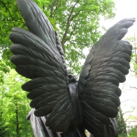 Schwarzer Engel - guter Engel?