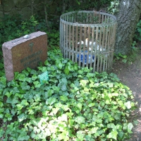 Kürzlich gesehen…