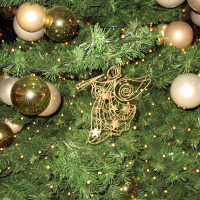 Frohe Weihnachten!