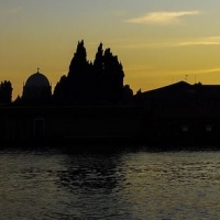 Coronakrise in New York - Massengrab auf Hart Island