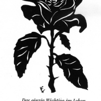 Was wichtig ist im Leben