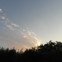 Himmelfahrt - Vatertag - Herrentag