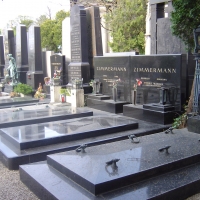 Die Untoten - Life Sciences & Pulp Fiction